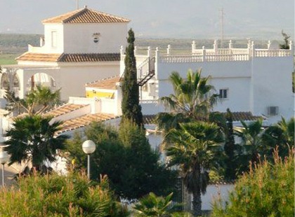 Camposol - Interesting Facts